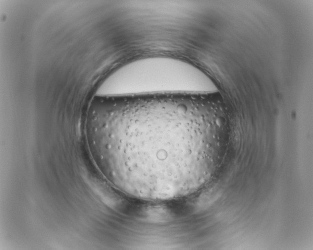 X0000089460262200706151113