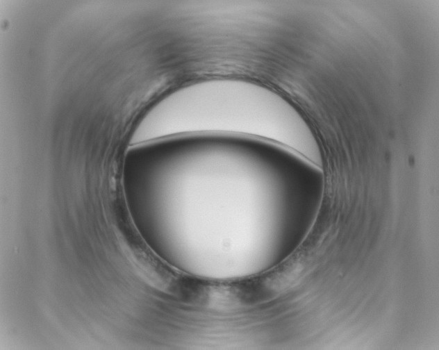 X0000089460264200706151113