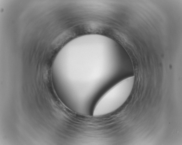 X0000089460266200706151113