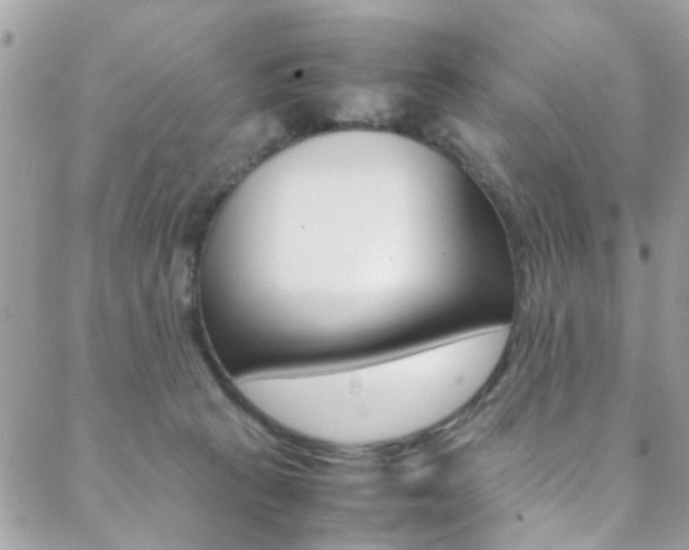 X0000089460273200706151113