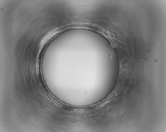 X0000089460294200706151113