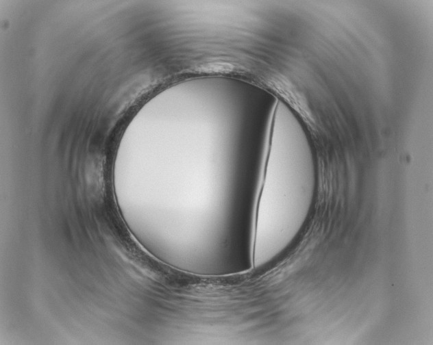 X0000089460300200706151113