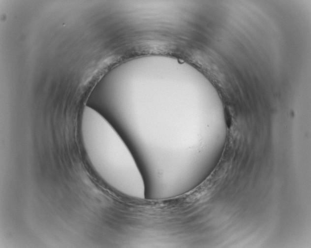 X0000089460306200706151112