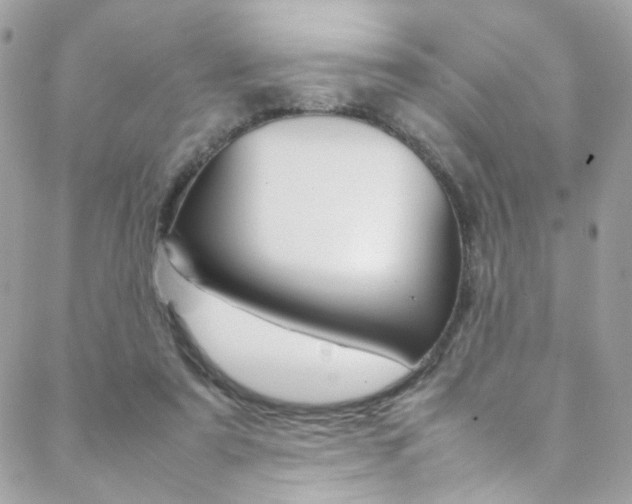X0000089460307200706151112
