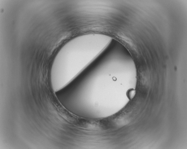 X0000089460308200706151112