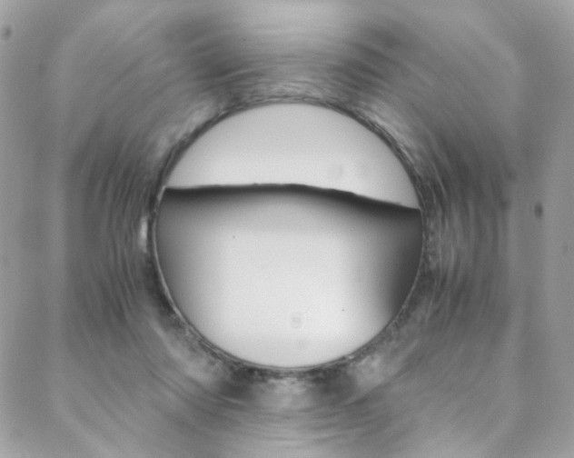X0000089460310200706151112