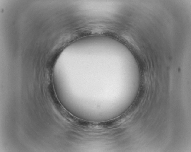 X0000089460311200706151112