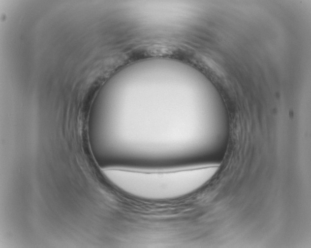 X0000089460315200706151112