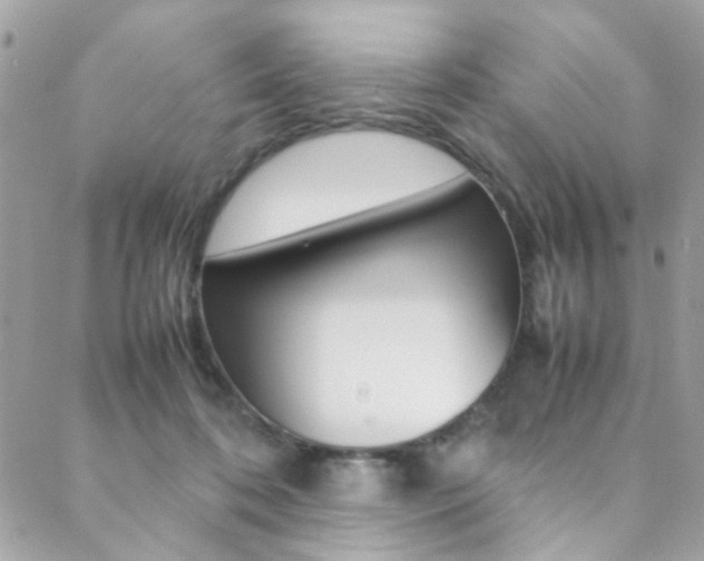 X0000089460316200706151112