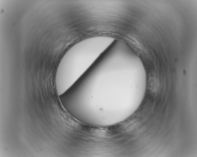 X0000089460318200706151112