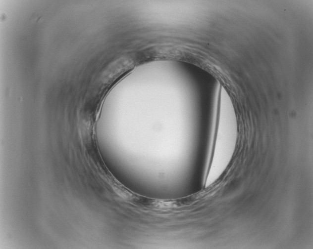 X0000089460333200706151112