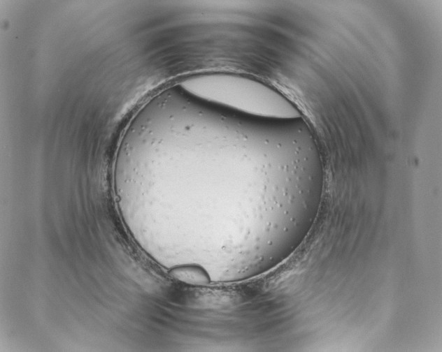 X0000089460347200706151111