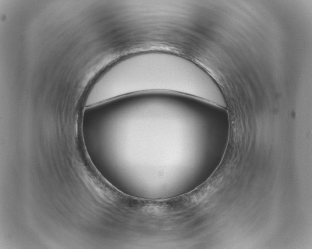 X0000089460350200706151111