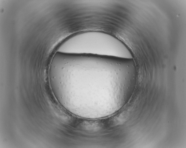 X0000089460351200706151111