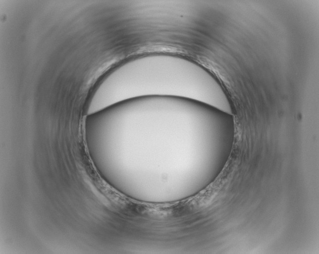 X0000089460352200706151111