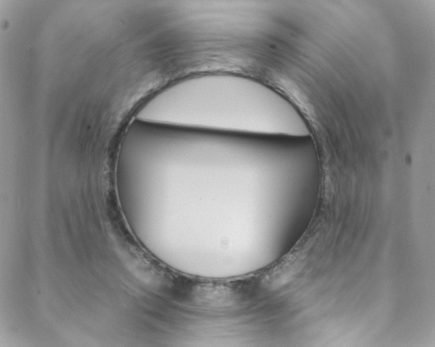 X0000089460354200706151111