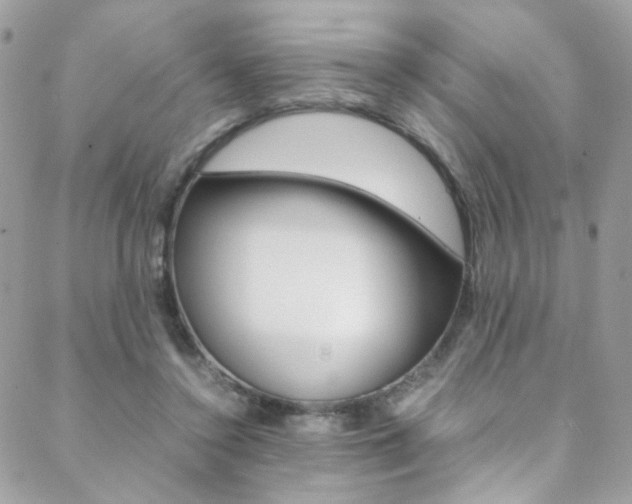 X0000089460356200706151111
