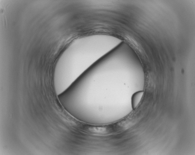 X0000089460361200706151112