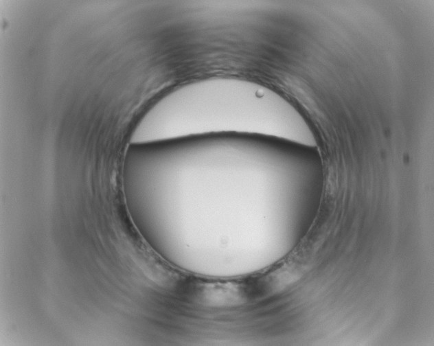 X0000089460363200706151112