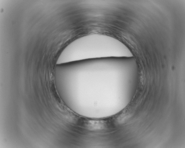 X0000089460371200706151112