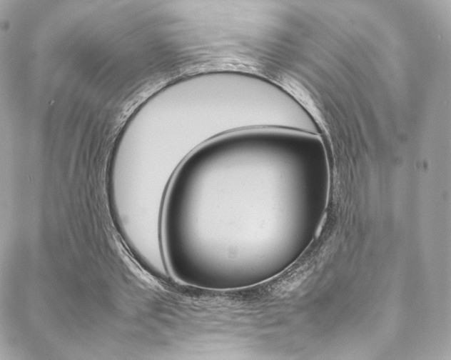 X0000089460389200706151111