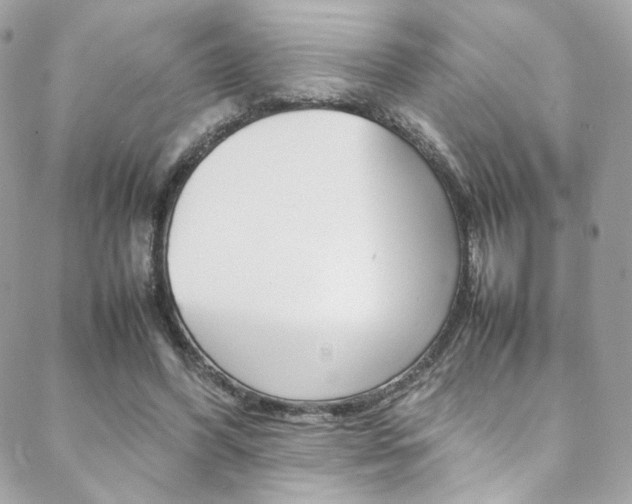 X0000089460396200706151111