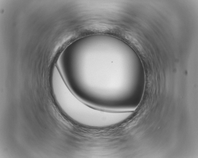 X0000089460399200706151111