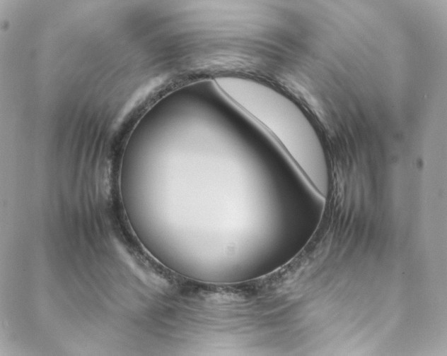X0000089460400200706151111