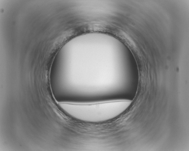 X0000089460401200706151111