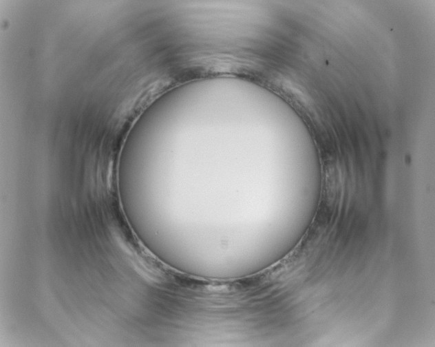 X0000089460406200706151111