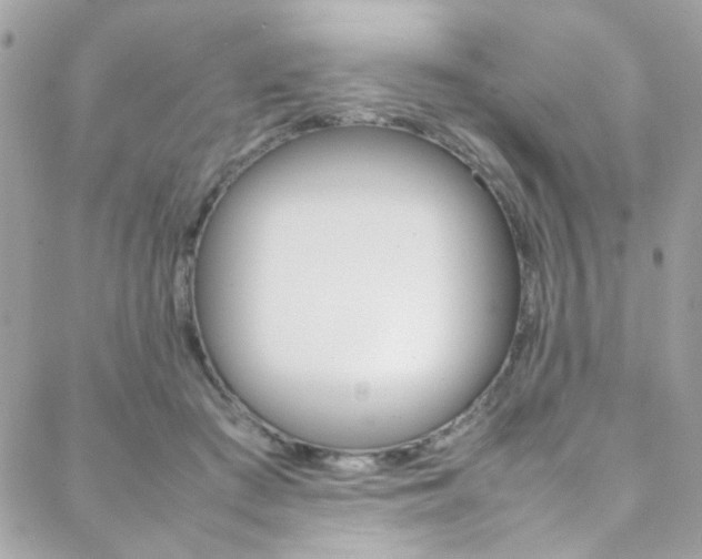 X0000089460409200706151111