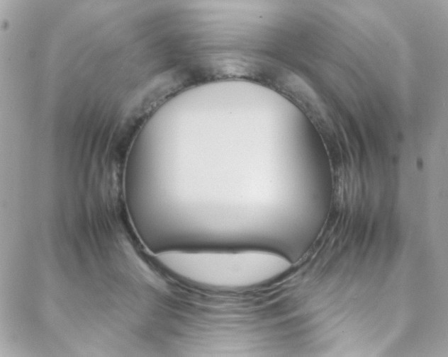 X0000089460410200706151111