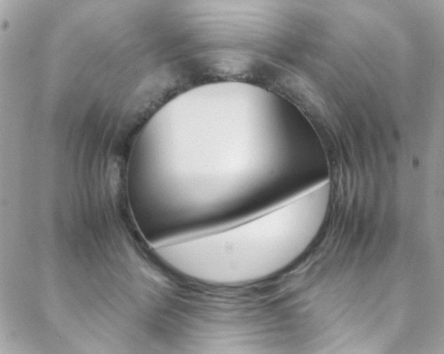 X0000089460412200706151111