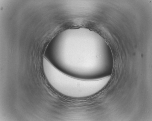 X0000089460413200706151111