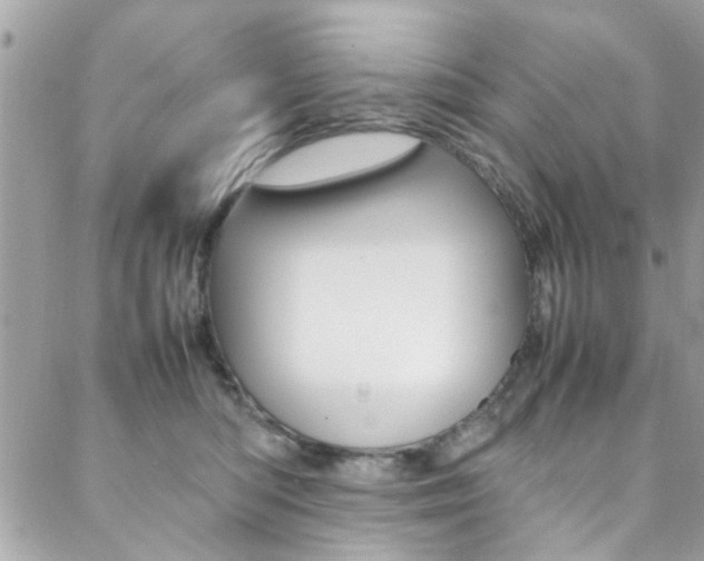 X0000089460422200706151111