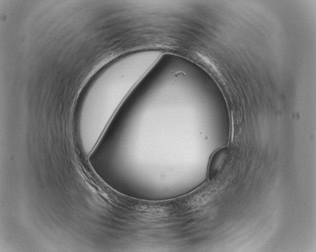 X0000089460435200706151110