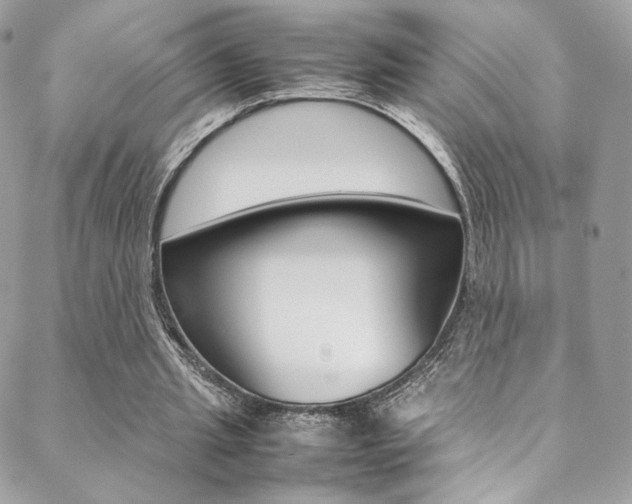 X0000089460437200706151110
