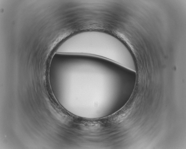 X0000089460443200706151110