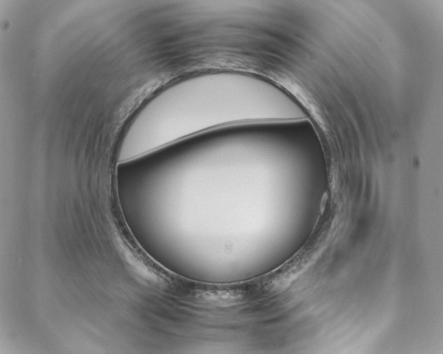 X0000089460445200706151110