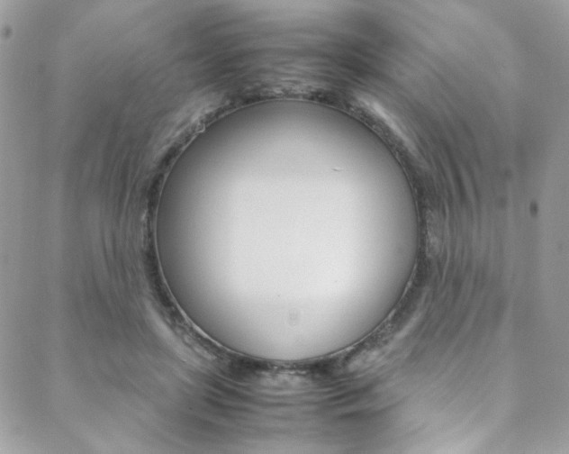 X0000089460451200706151110