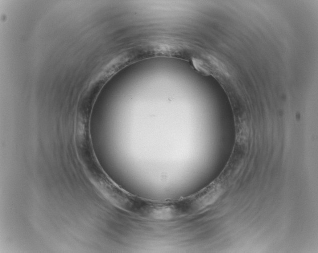 X0000089460456200706151110