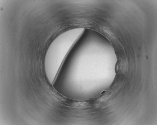 X0000089460461200706151110