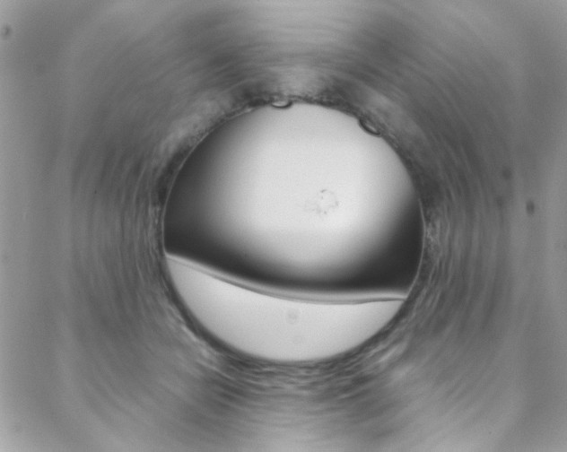 X0000089460462200706151110