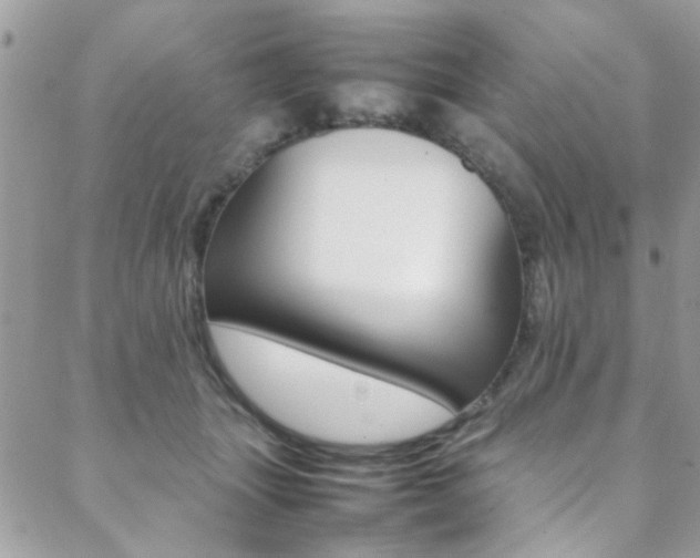 X0000089460463200706151110