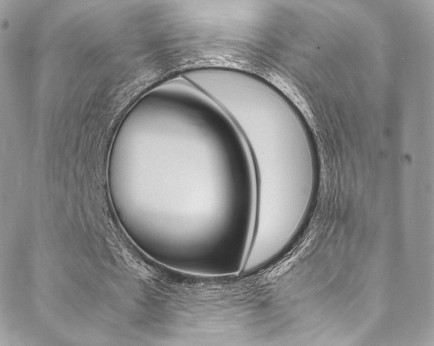 X0000089460481200706151110