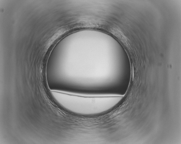 X0000089460483200706151110