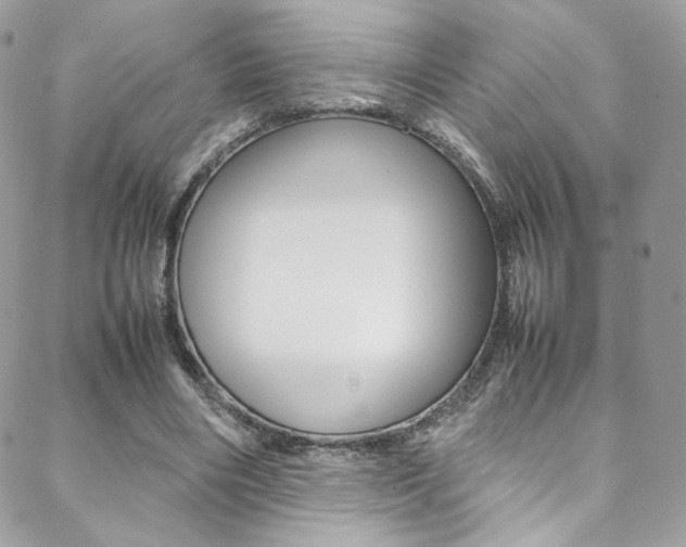 X0000089460490200706151109