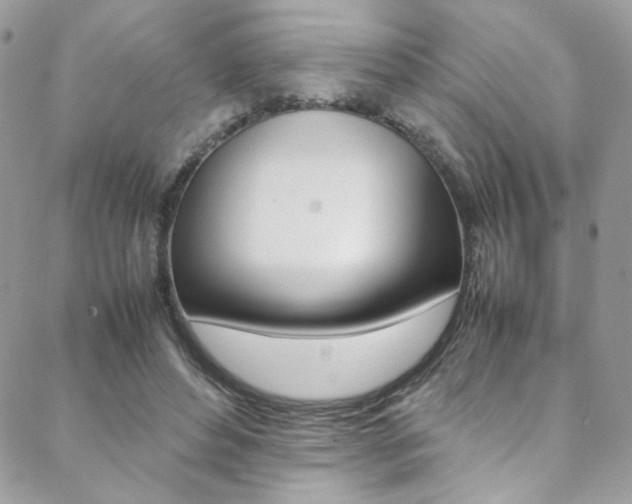 X0000089460496200706151109