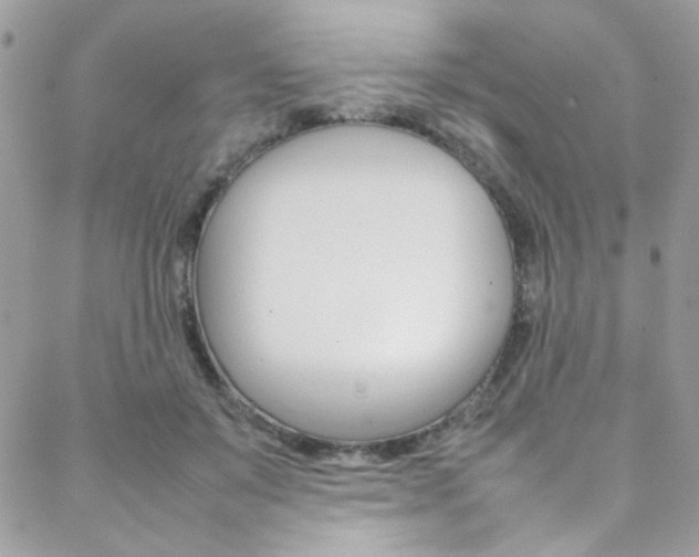X0000089460503200706151109