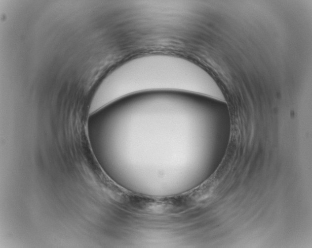 X0000089460504200706151109